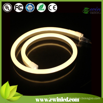 24V Mini LED Neon Light with Colorific PVC Coat (10*24mm)